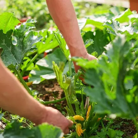 Seepark Am Wandlitzsee Wandlitz