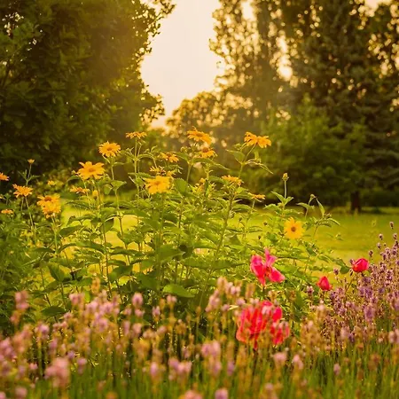 Seepark Am Wandlitzsee Hotel Wandlitz