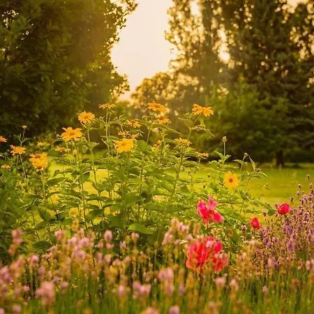 Hotel Seepark Am Wandlitzsee 3*