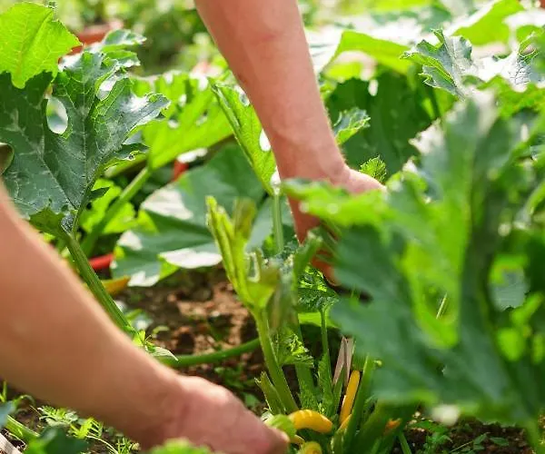 Seepark Am Wandlitzsee ונדליץ