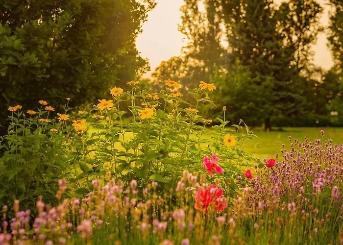 מלון Seepark Am Wandlitzsee 3*